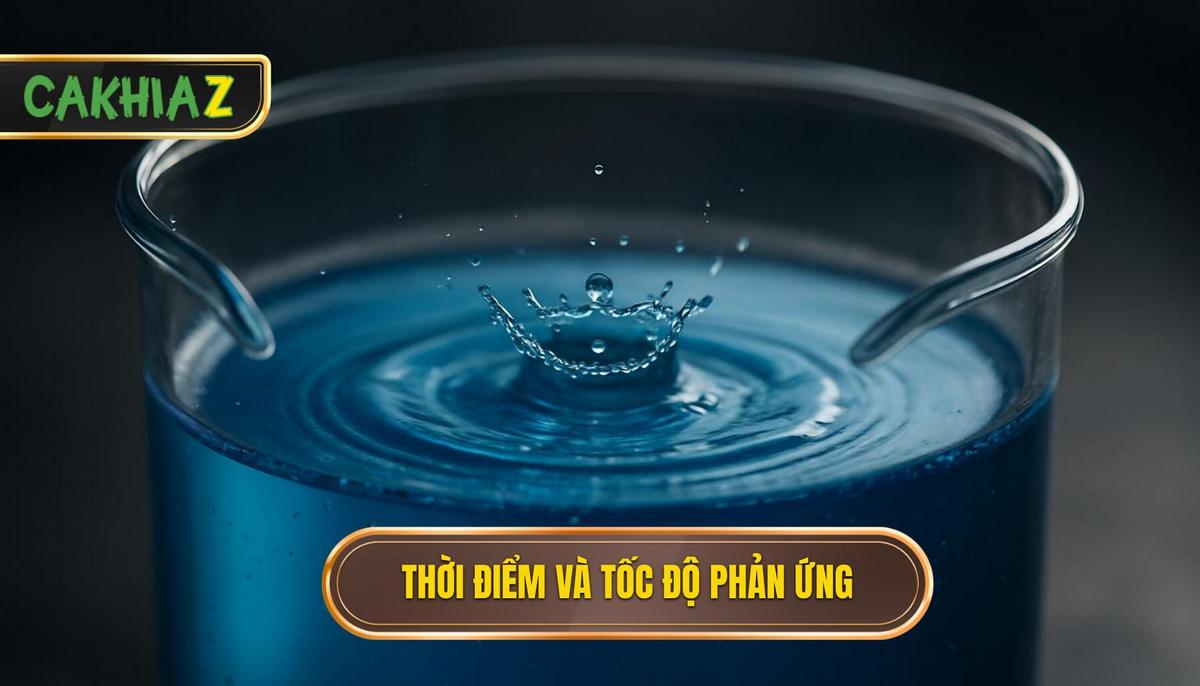 Timing (thời điểm) Và Tốc độ Phản ứng
