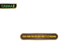 Cách Phân Tích Kèo Dựa Trên Tỷ Lệ Pressing
