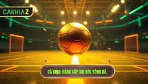 Cà Khịa Đẳng Cấp Soi Kèo Bóng đá.